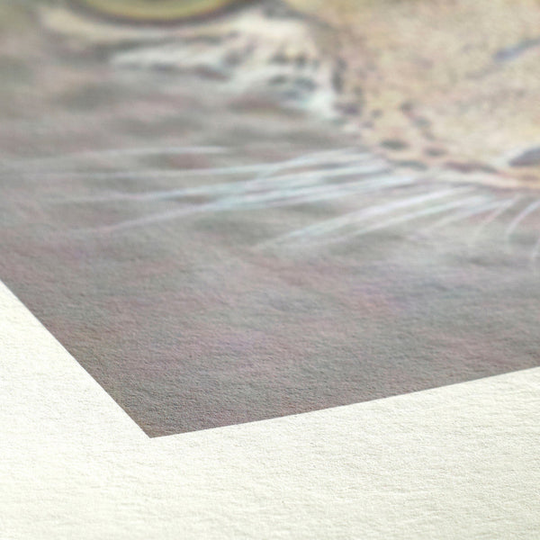 Hahnemühle Bamboo 290gsm